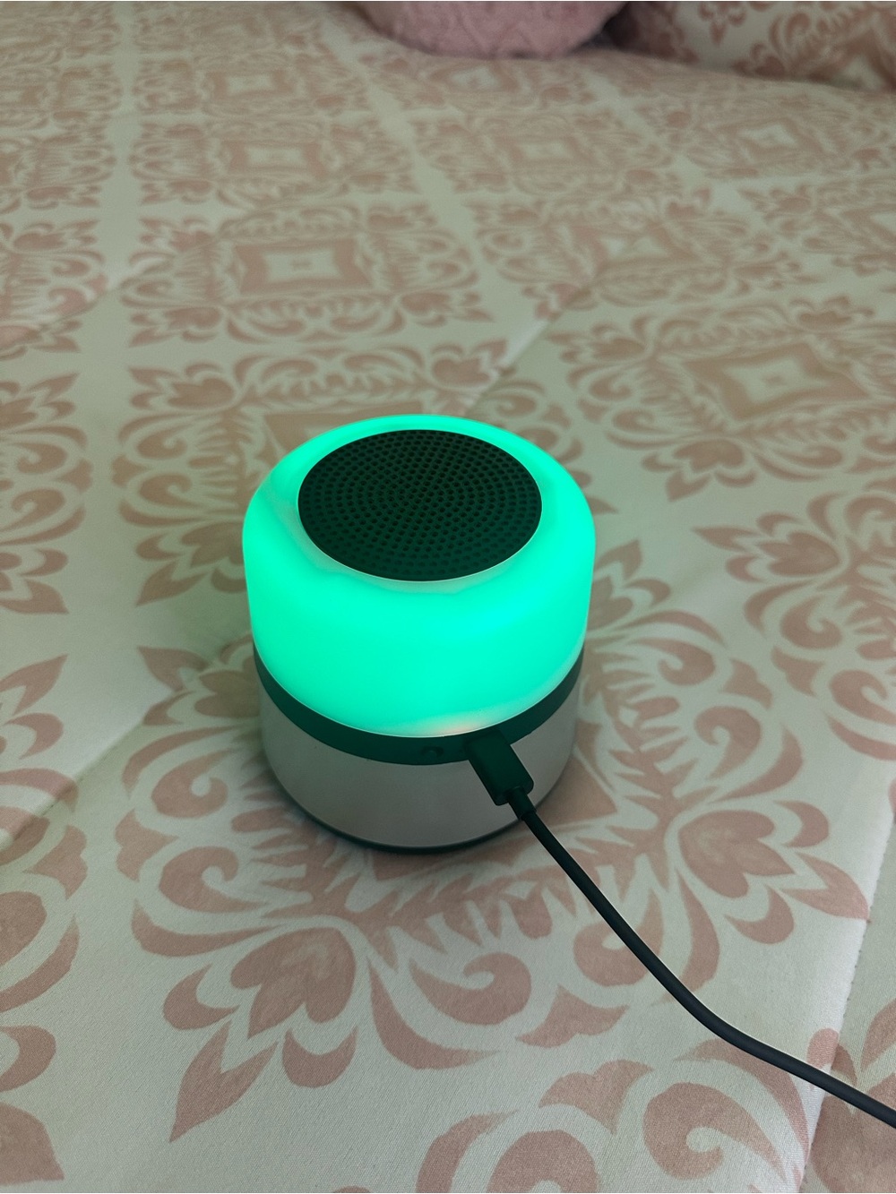 Portable Bluetooth Speaker with Green LED Light